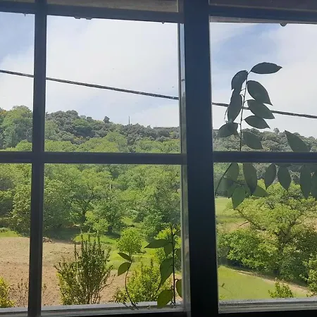Dreamy Hideout In Trás-os-montes 비냐이스